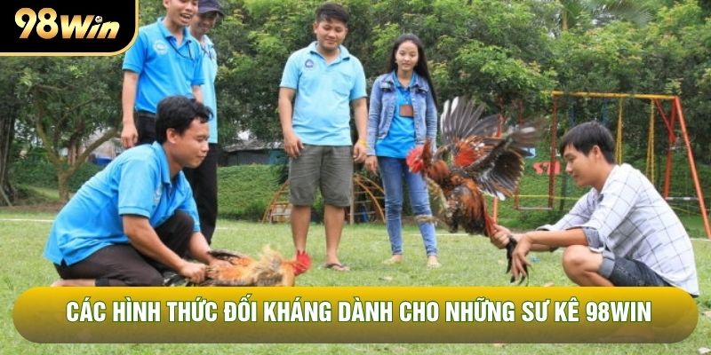Các hình thức đối kháng dành cho những sư kê 98WIN Các hình thức đối kháng dành cho những sư kê 98WIN