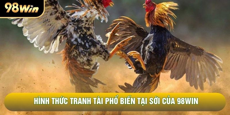 Hình thức tranh tài phổ biến tại sới của 98WIN Hình thức tranh tài phổ biến tại sới của 98WIN