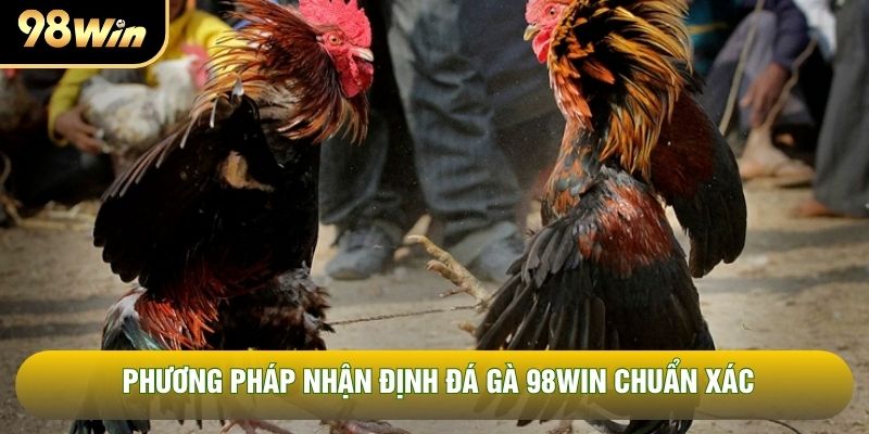 Phương pháp nhận định đá gà 98WIN chuẩn xác Phương pháp nhận định đá gà 98WIN chuẩn xác